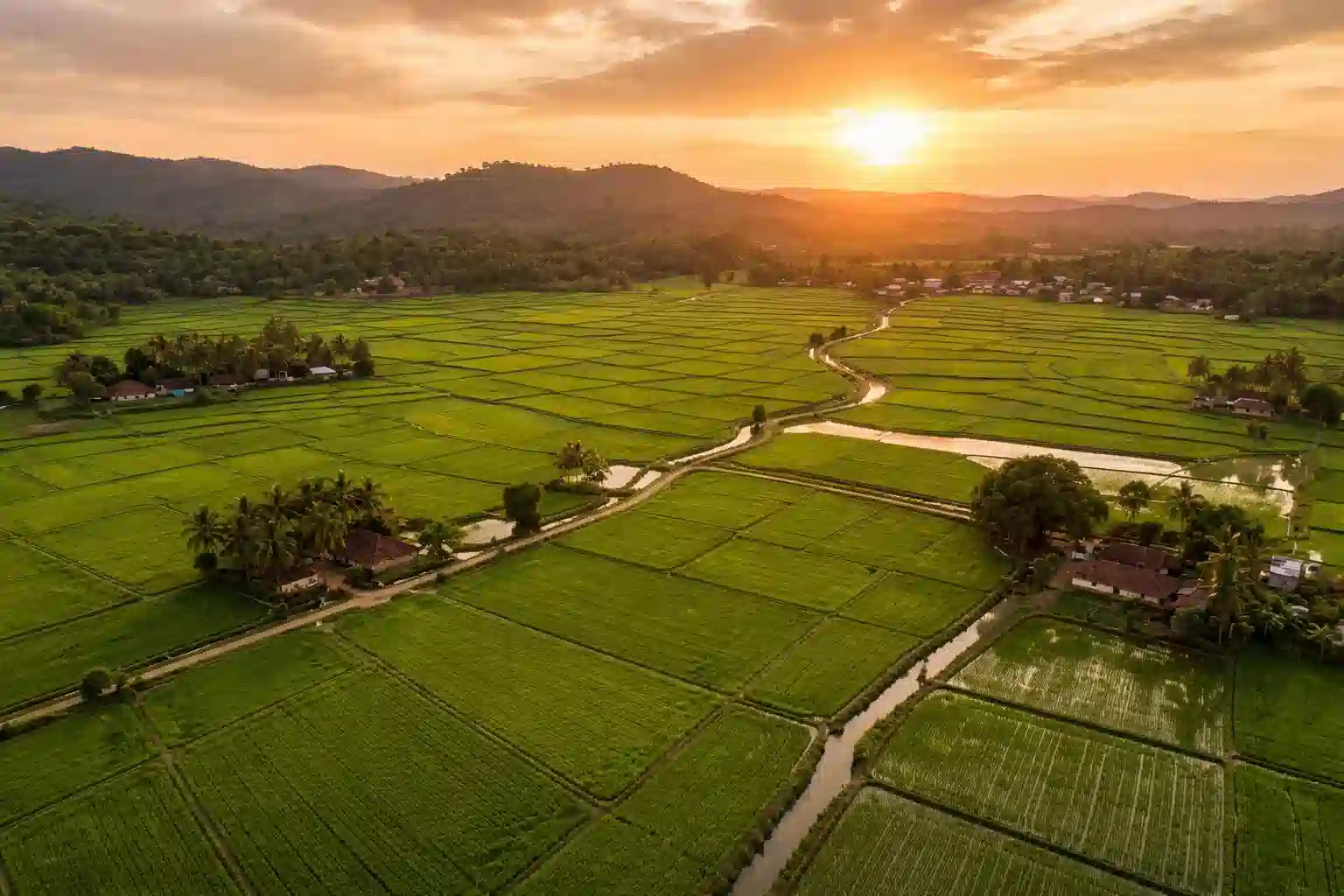 Karnataka Rice Export